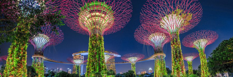 Singapore Video Package Pricing