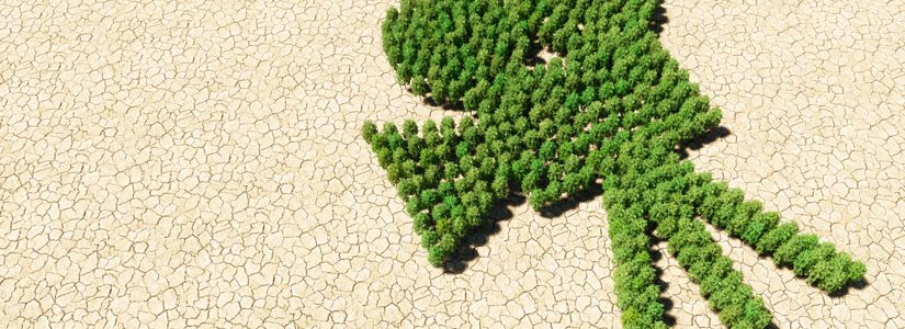 Climate Action – 5 Winning Strategies for Sustainable Video Production